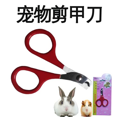寵物兔與龍貓必備 專業指甲剪的選購與使用指南