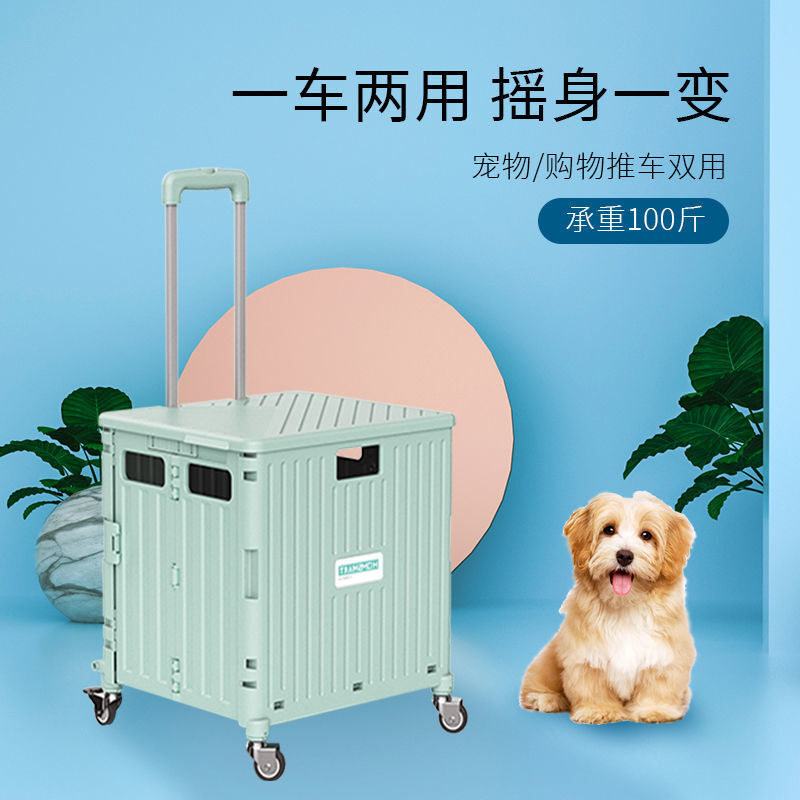 潮寵出行新風尚 八輪中號45L晨曦綠寵物輕便推車體驗