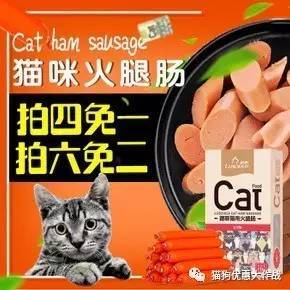 7月27日 精選寵物生活用品優惠券，為愛寵打造舒適生活