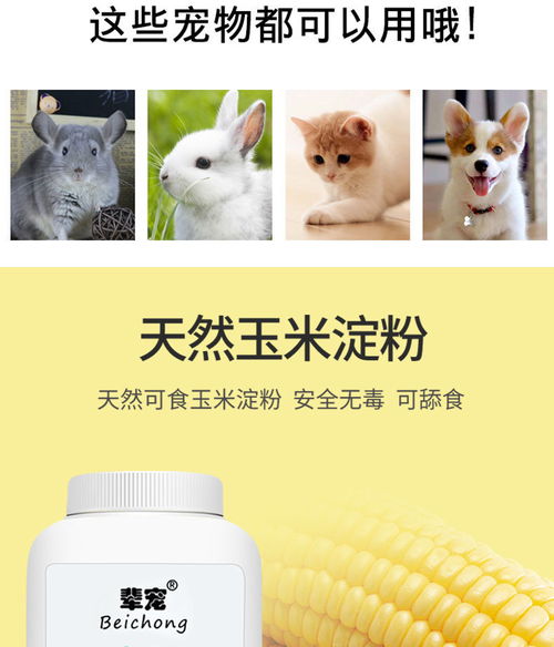 寵物干洗新時代 泡沫與干粉的便捷護理指南